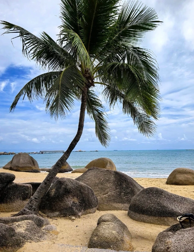 Photo of Tianya Haijiao: Sanya travel