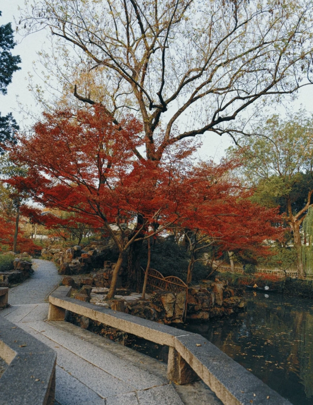 Suzhou garden tour tips