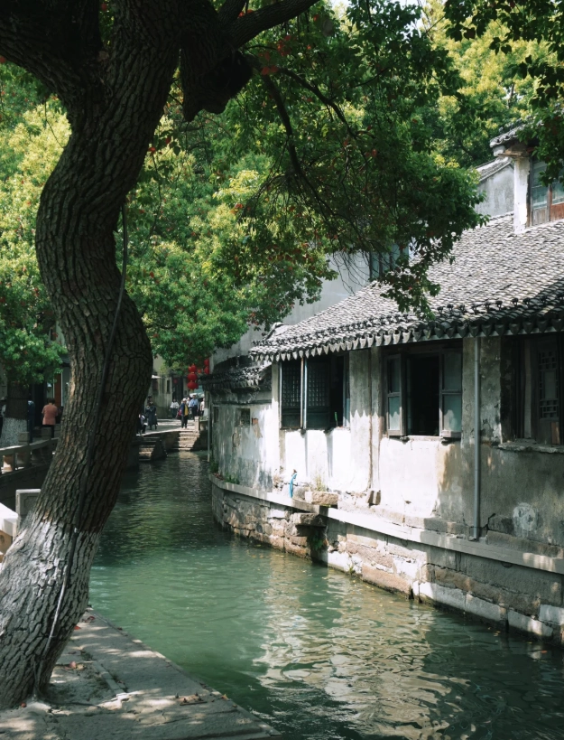 Tongli entrance fee 2025