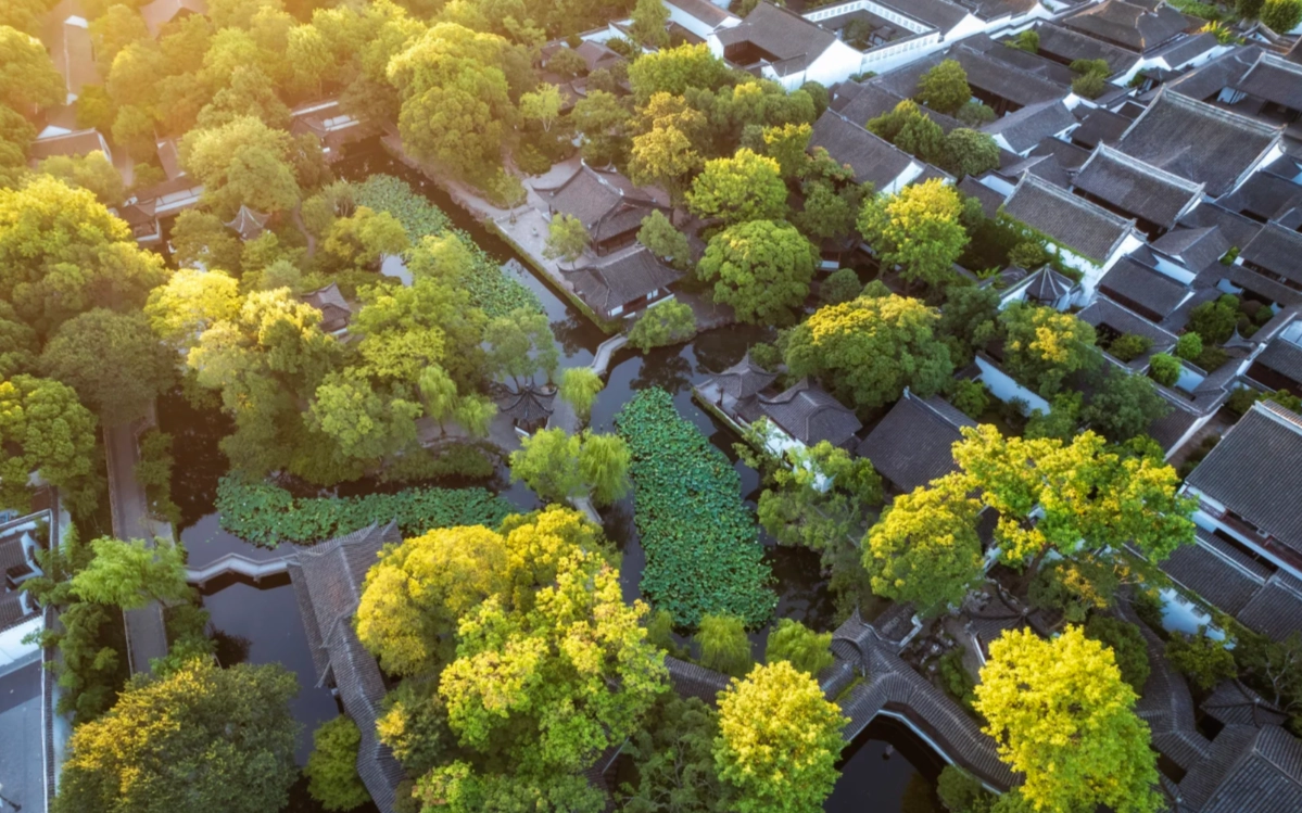Photo of Humble Administrator's Garden: Suzhou garden tips