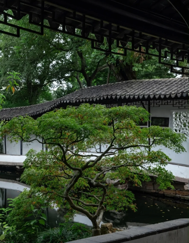 Humble Administrator's Garden Suzhou