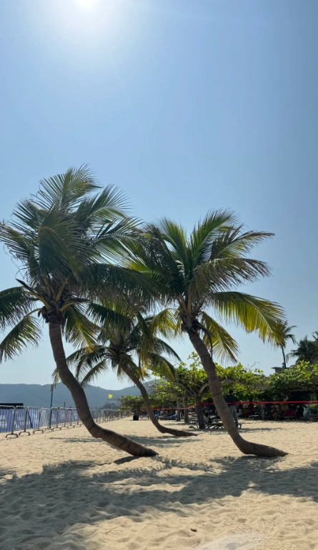 Best Sanya Itinerary: 5 Days of Tropical Paradise Without the Crowds