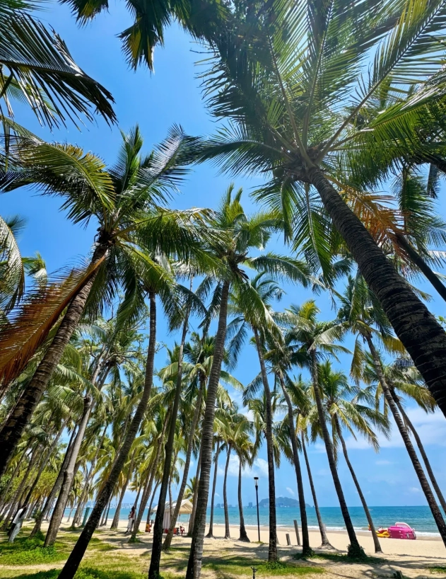 Photo of Yalong Bay: Sanya peak season
