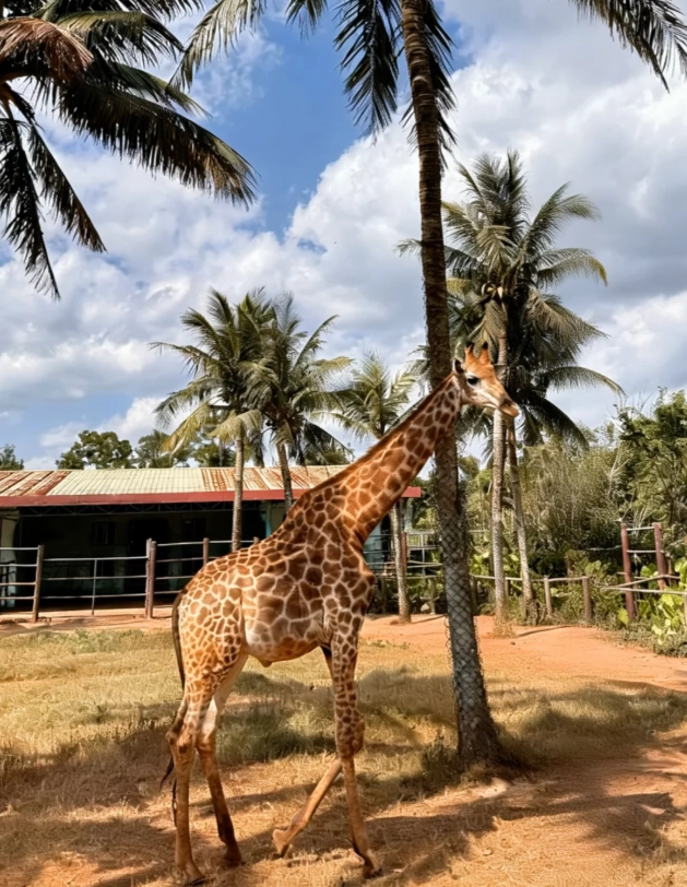 Photo of Hainan Tropical Wildlife Park: Hainan zoo review