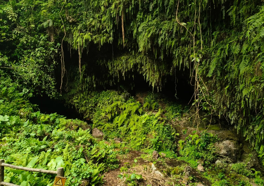 Photo of Haikou Volcanic Cluster Global Geopark: things to do in Haikou