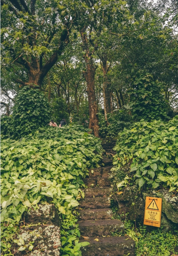 Photo of Haikou Volcanic Cluster Global Geopark: visiting Haikou volcano park