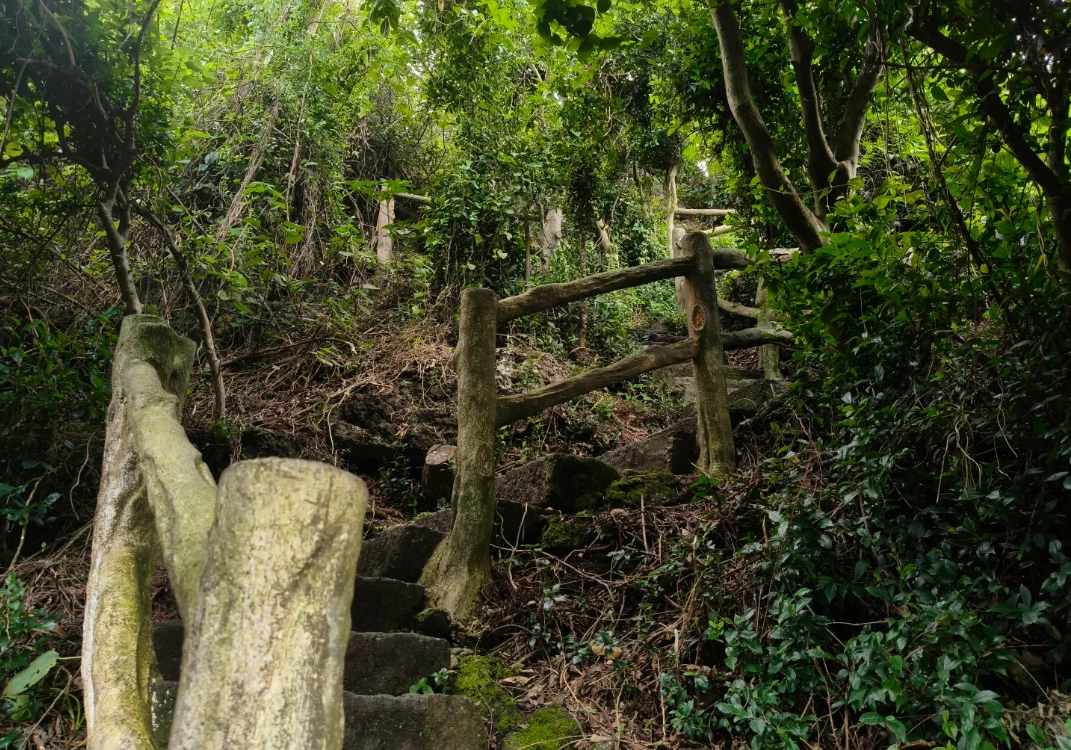 Photo of Haikou Volcanic Cluster Global Geopark: Haikou volcanic crater