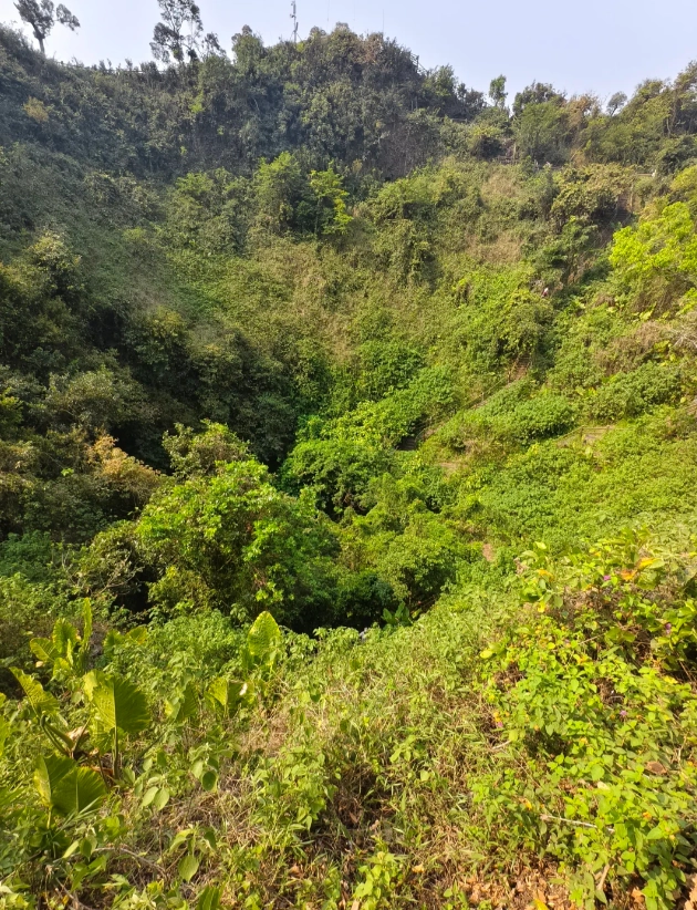Haikou Geopark tickets and tips