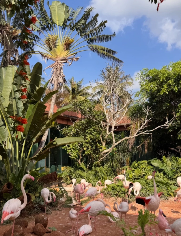 Photo of Hainan Tropical Wildlife Park: Tropical Wildlife Park Hainan
