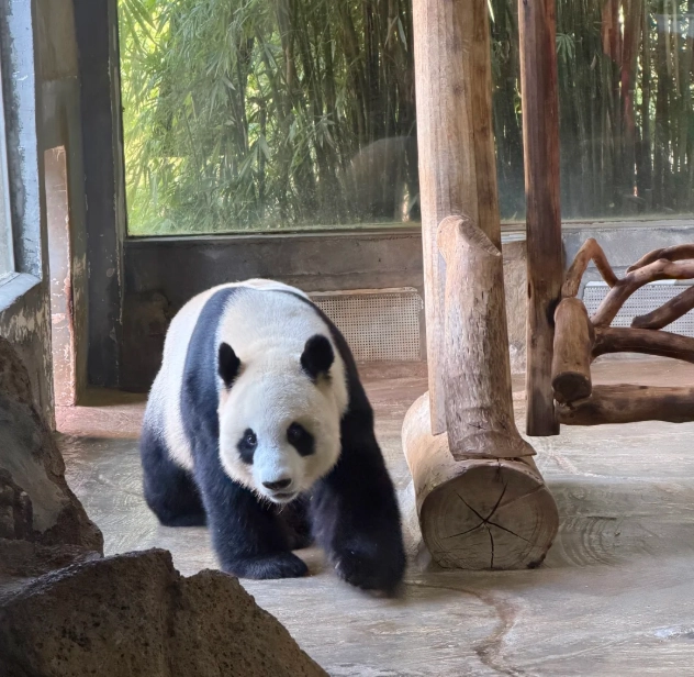 Haikou sightseeing