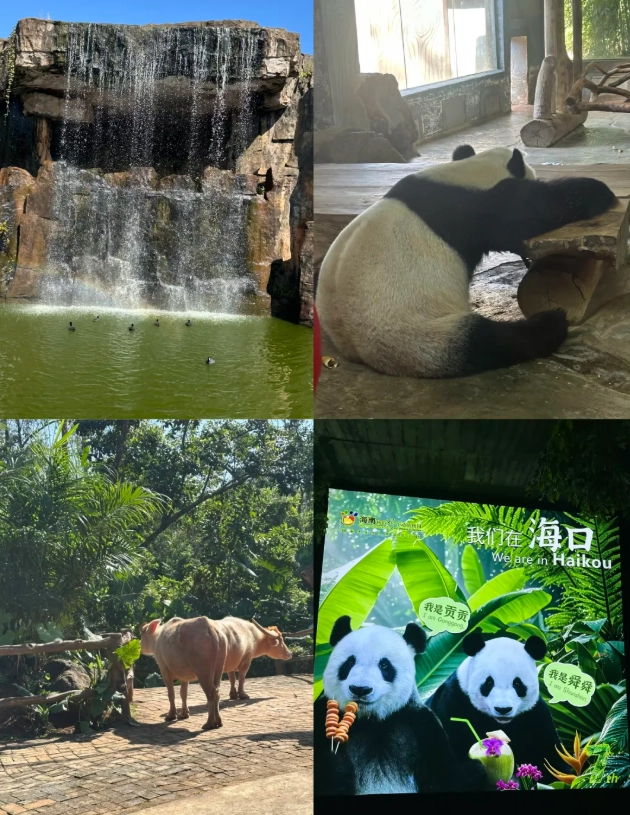 Haikou zoo