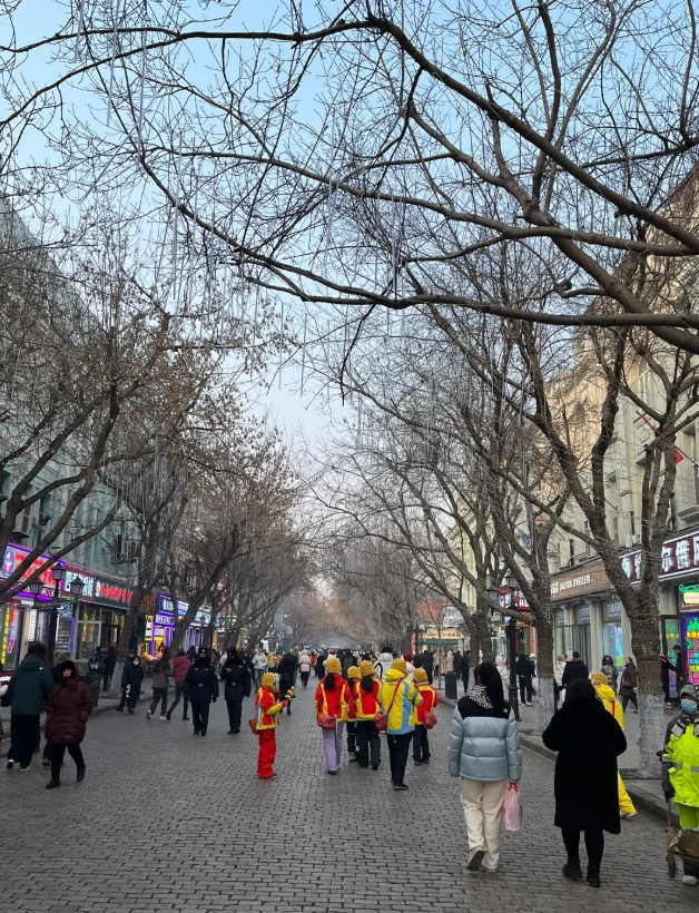 Photo of Zhongyang Pedestrian Street: Harbin nightlife