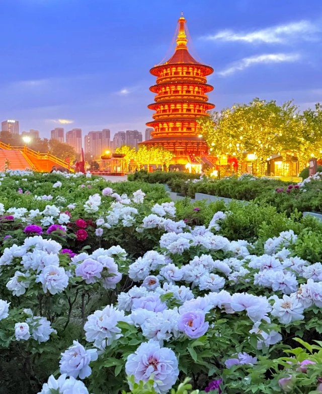 Shaolin Temple day trip Shaolin Temple day trip