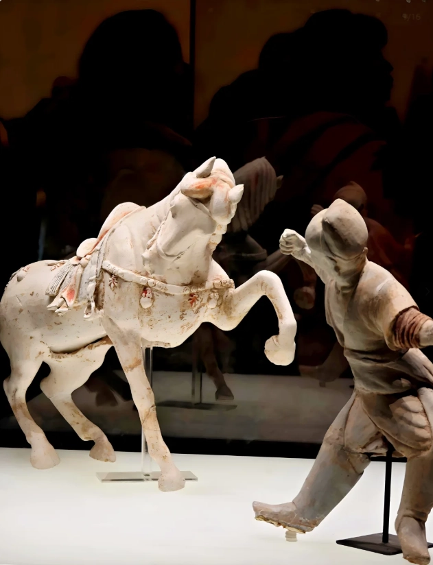 Luoyang Museum guided tour Luoyang Museum guided tour