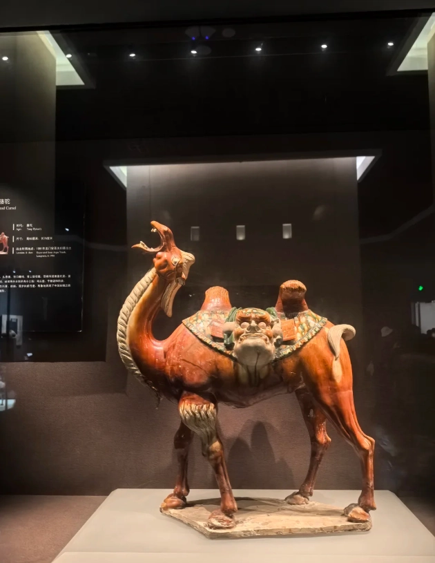 what to see in Luoyang Museum what to see in Luoyang Museum