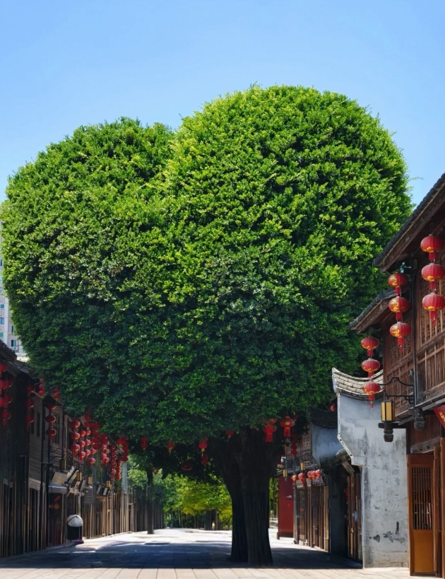 Fuzhou travel guide