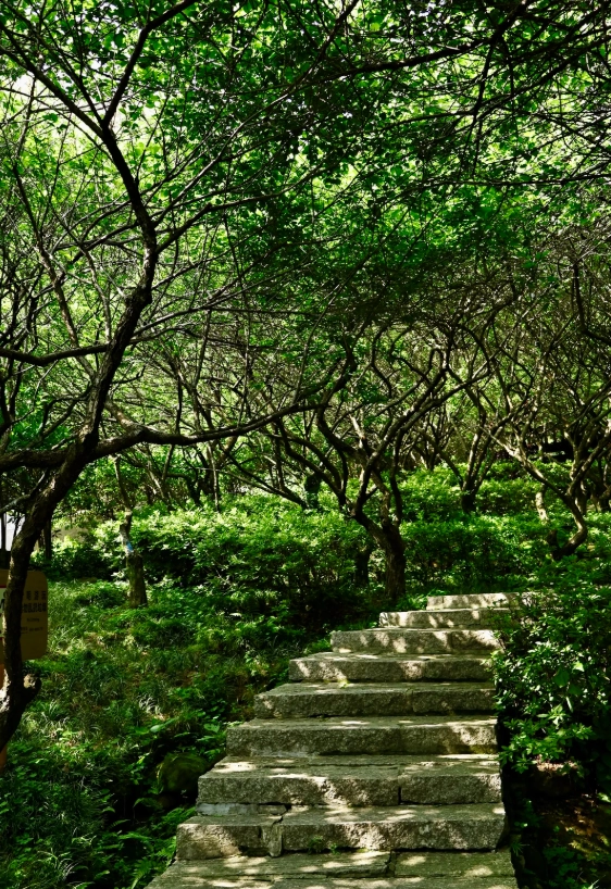 Fuzhou 3 days itinerary