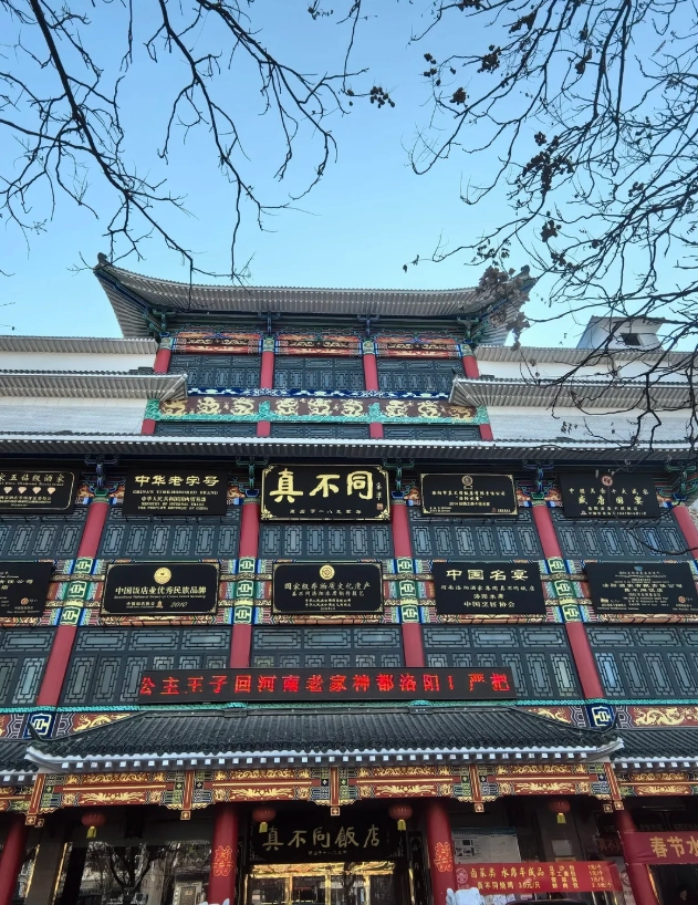 best Luoyang itinerary 3 days