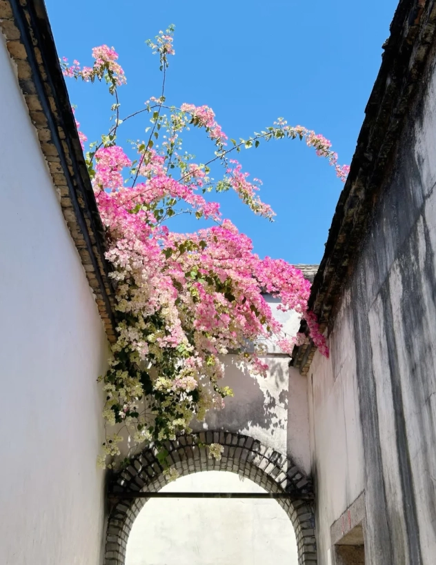 things to do in Fuzhou