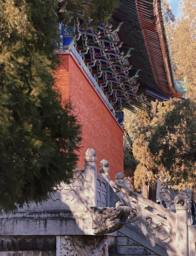 Luoyang Peony Festival