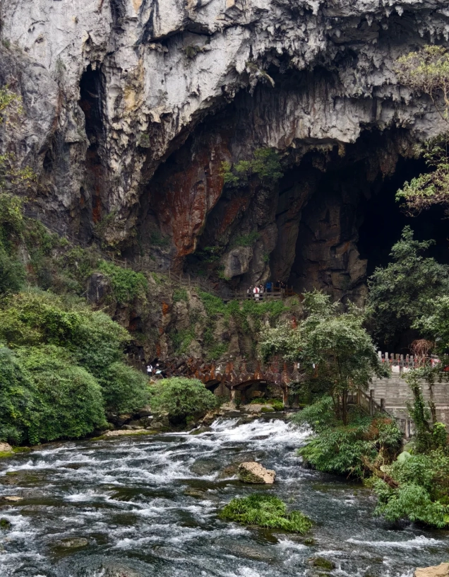 Tianlong Tunbao Tianlong Tunbao