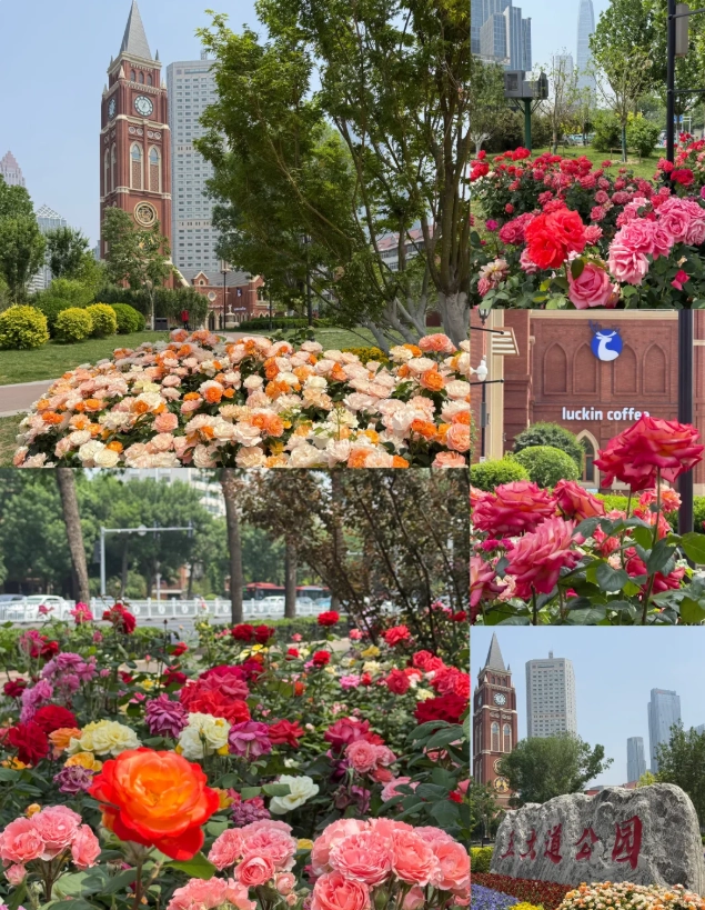 tianjin travel tips tianjin travel tips