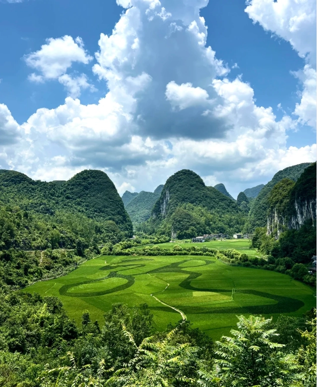 Anshun peak season