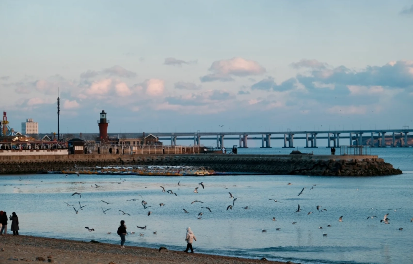 Dalian seasonal attractions Dalian seasonal attractions