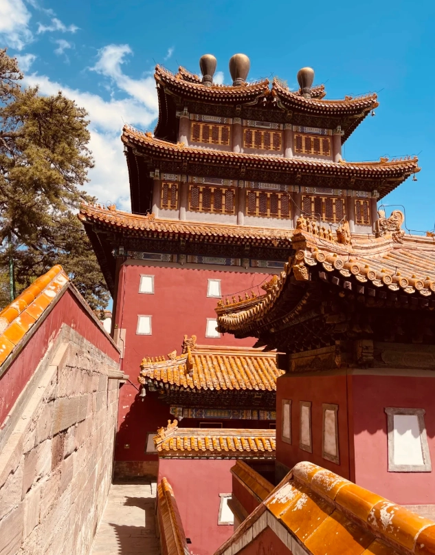 world's largest wooden Buddha