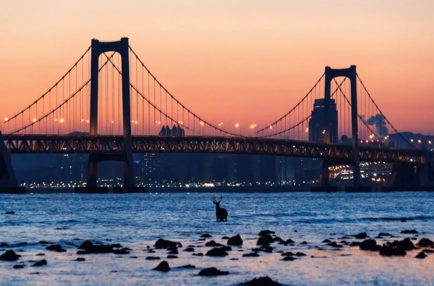 Dalian Must-Visit Places: Top Attractions & Hidden Gems