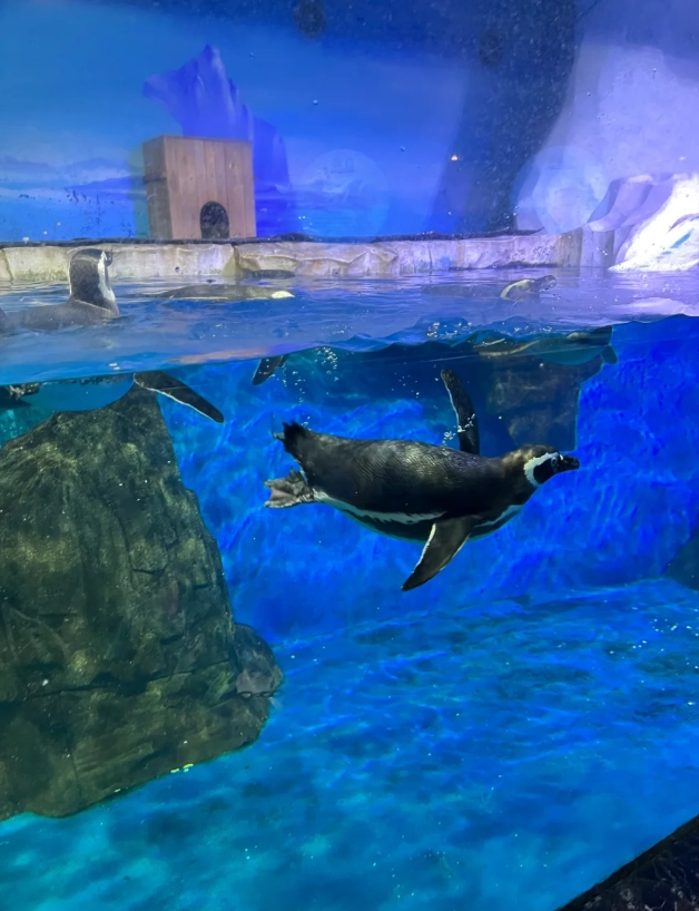 Photo of Dalian Forest Zoo: Dalian Forest Zoo best time to visit