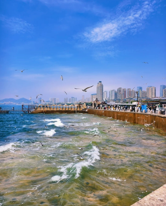 Photo of Xinghai Square: Dalian attractions