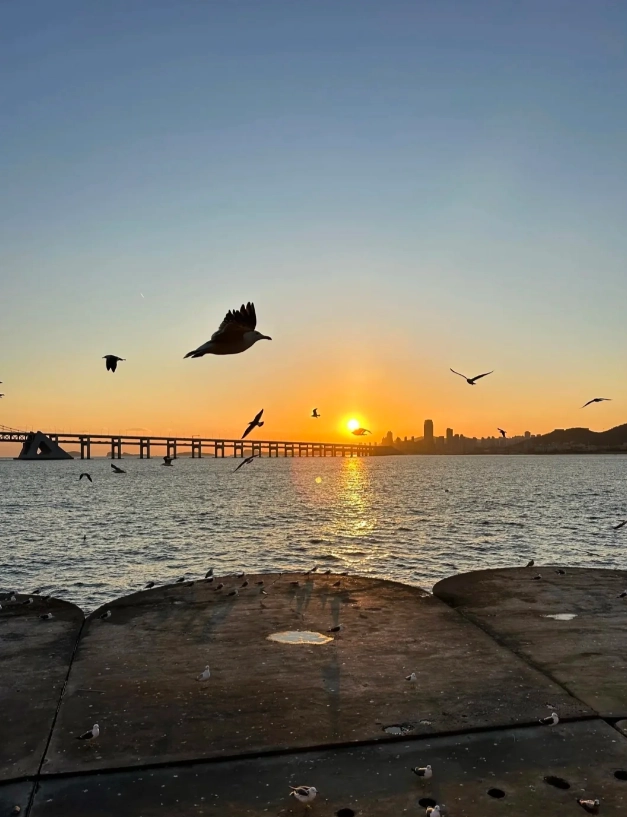 Photo of Xinghai Square: Xinghai Square history