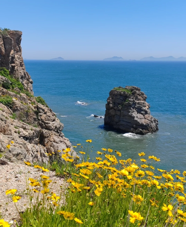 Photo of Binhai Road: Binhai Road attractions