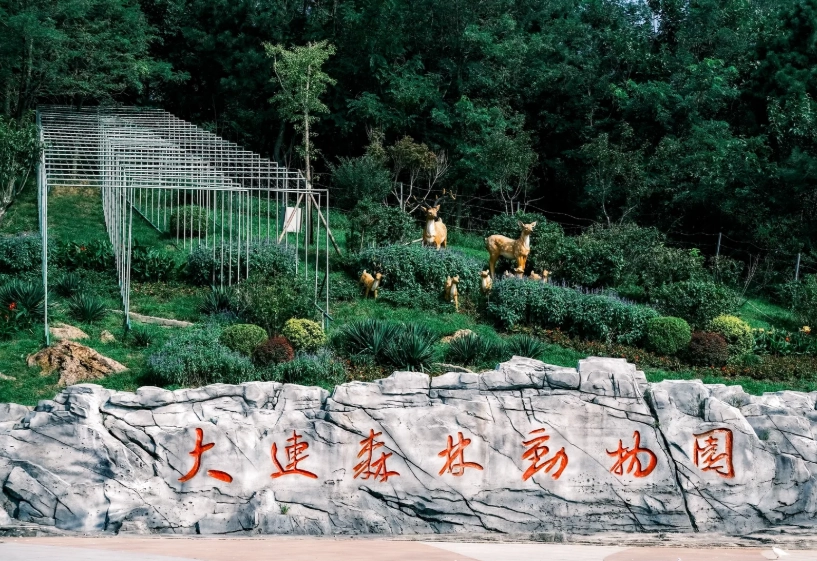 Dalian Forest Zoo: Skip the Crowds with These Pro Tips