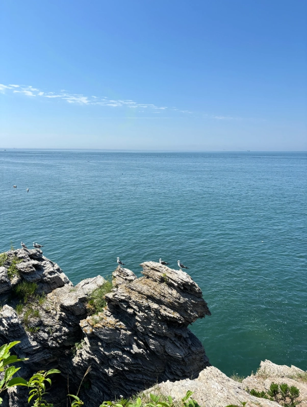 Photo of Golden Pebble Beach National Geopark: Golden Pebble Beach geopark tips