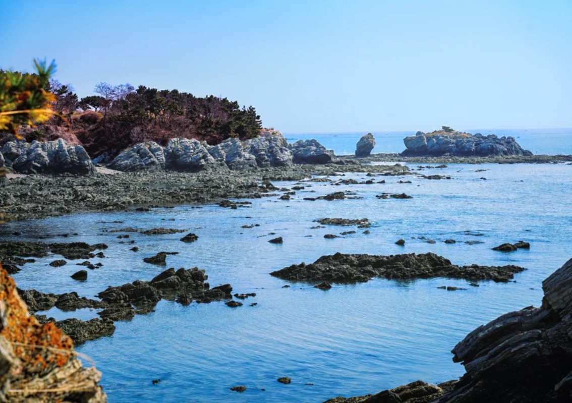 Photo of Golden Pebble Beach National Geopark: best time to visit Golden Pebble Beach