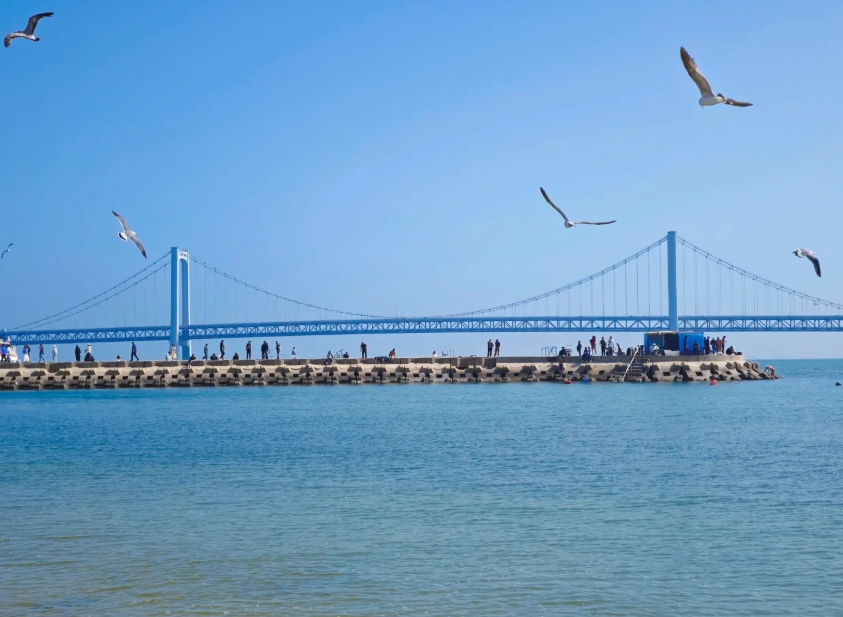 Things to do in Dalian: 11 Must-See Sights & Local Secrets