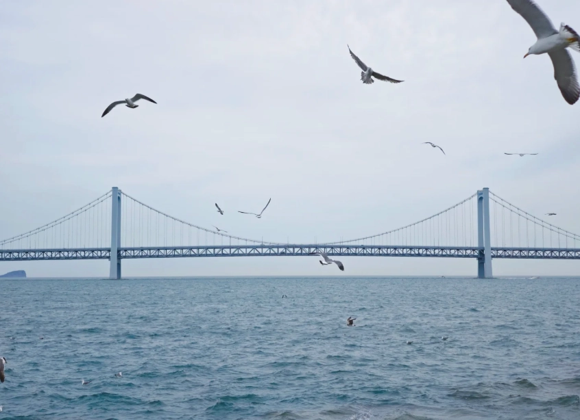 Dalian 3-Day Itinerary: Coastal Attractions & Local Tips