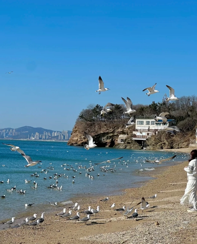 Photo of Binhai Road: Dalian Binhai Road