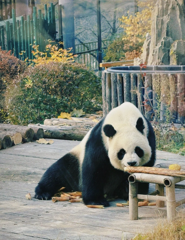 Dalian Forest Zoo