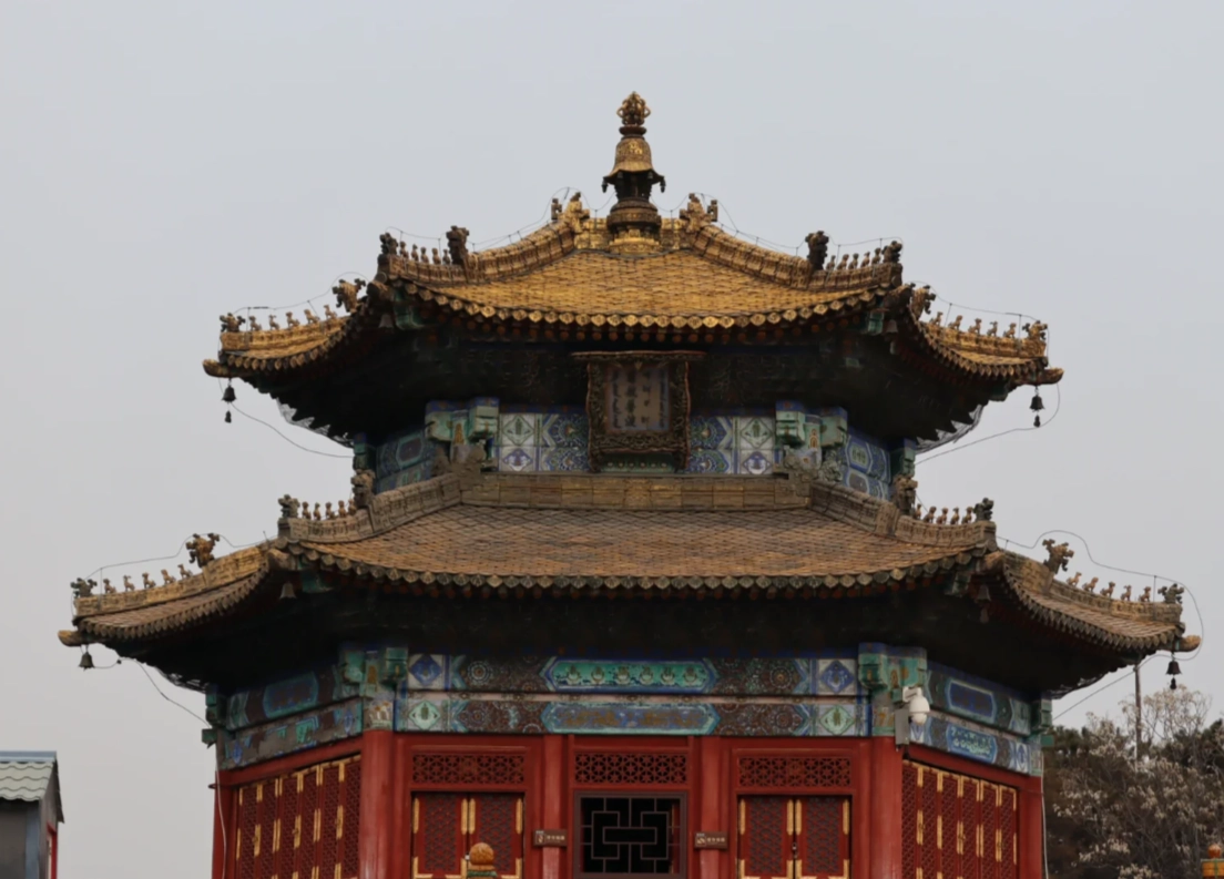 Photo of Putuo Zongcheng Temple: putuo zongcheng temple