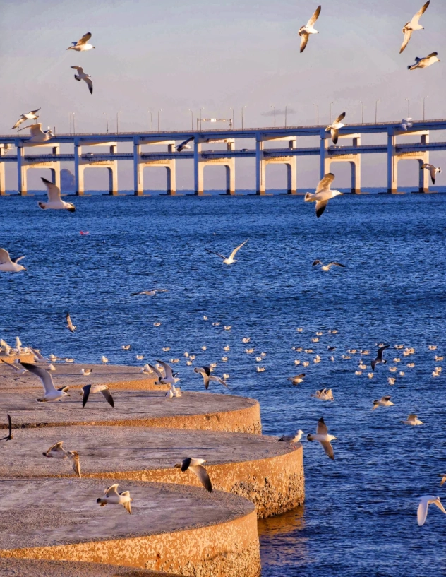 visit Xinghai Square