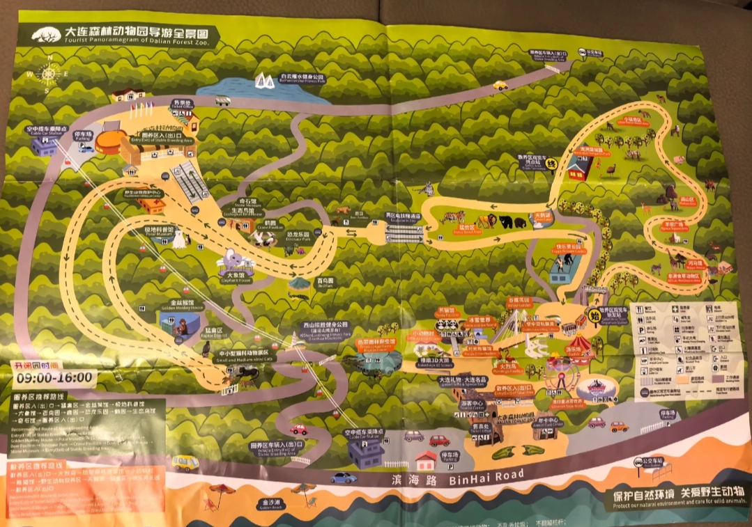 Photo of Dalian Forest Zoo: Dalian with kids