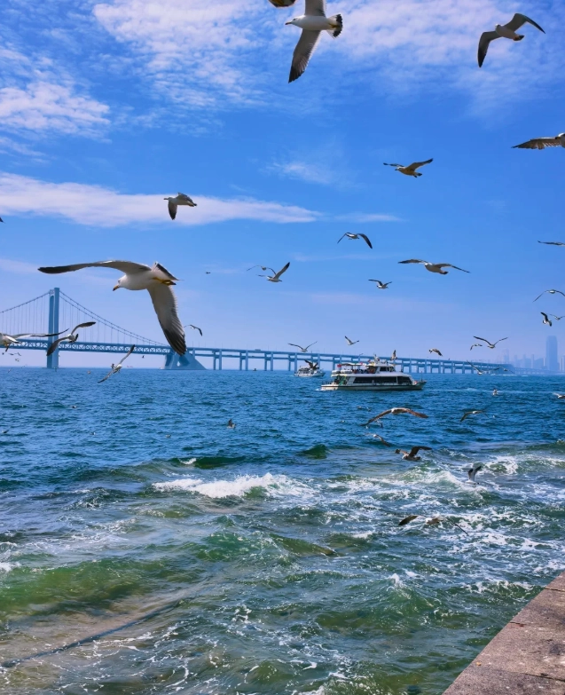 Photo of Xinghai Square: Xinghai Square