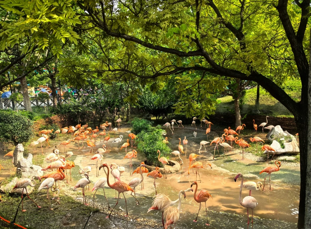 Dalian Forest Zoo review Dalian Forest Zoo review