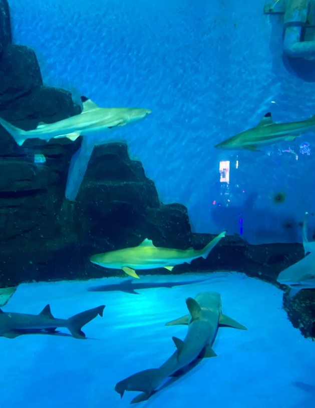 Dalian tourist attractions Dalian tourist attractions