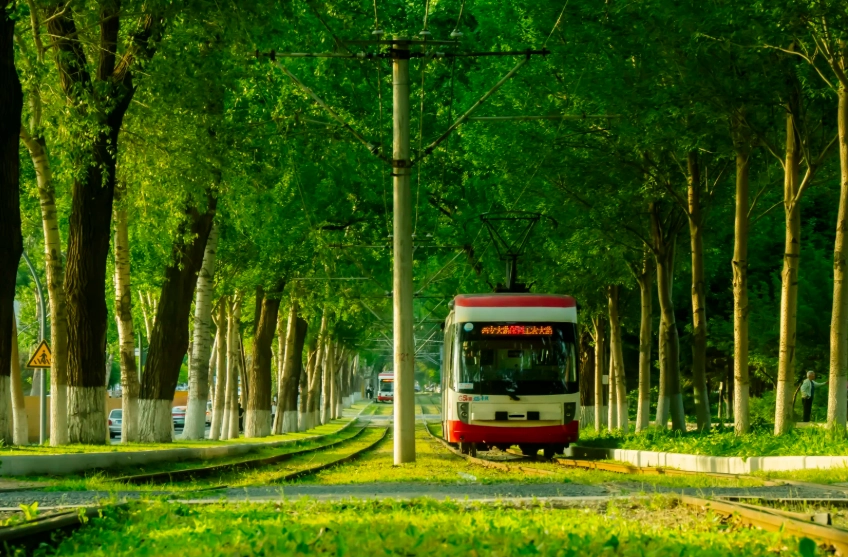 Changchun Best Time to Visit: Avoid Crowds & Save Money