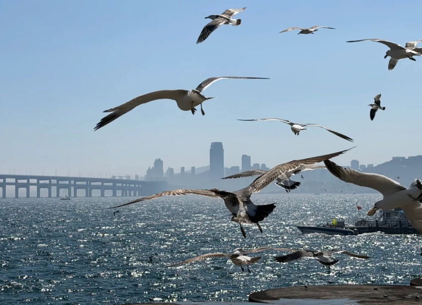 things to do in Dalian things to do in Dalian