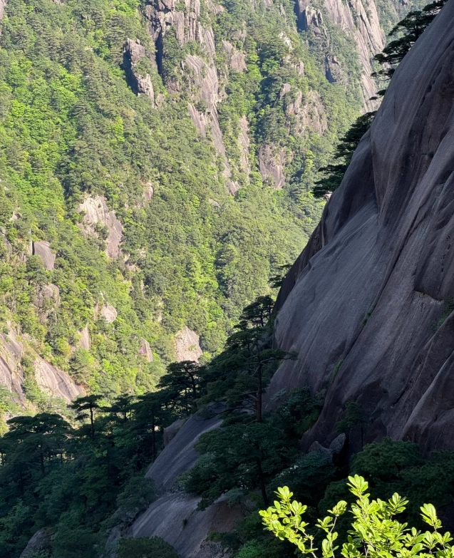Photo of Yellow Mountain: Huangshan tips